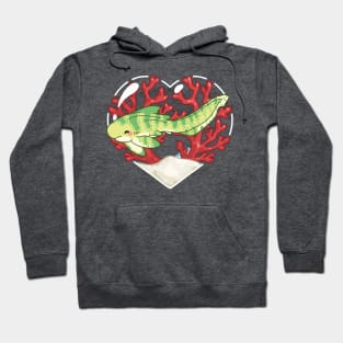 MUNCH, the Zebra Shark Hoodie